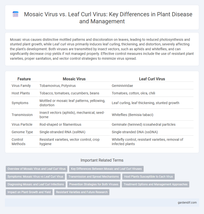 Mosaic Virus vs. Leaf Curl Virus: Key Differences in Plant Disease and Management