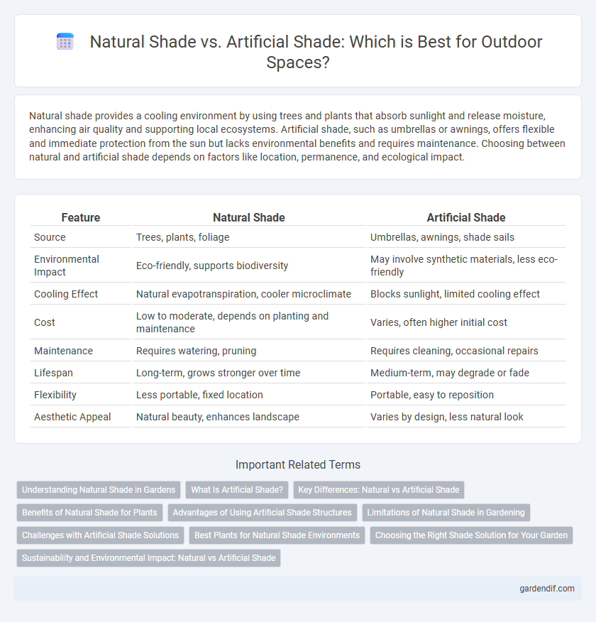Natural Shade vs. Artificial Shade: Which is Best for Outdoor Spaces?