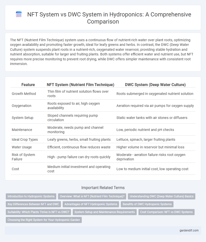 NFT System vs DWC System in Hydroponics: A Comprehensive Comparison