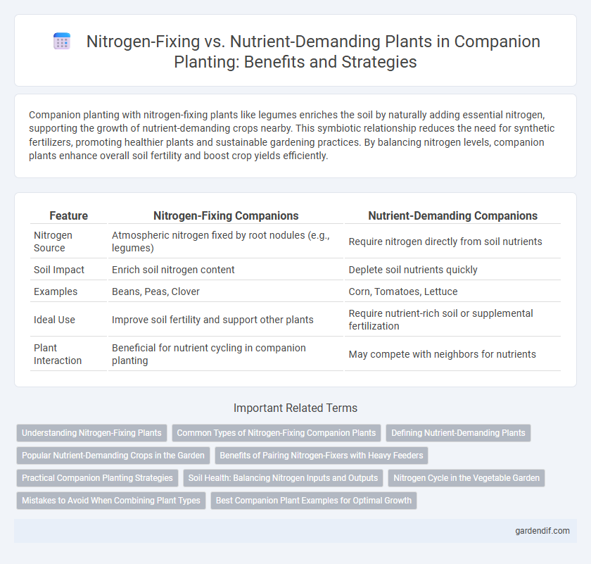 Nitrogen-Fixing vs. Nutrient-Demanding Plants in Companion Planting: Benefits and Strategies