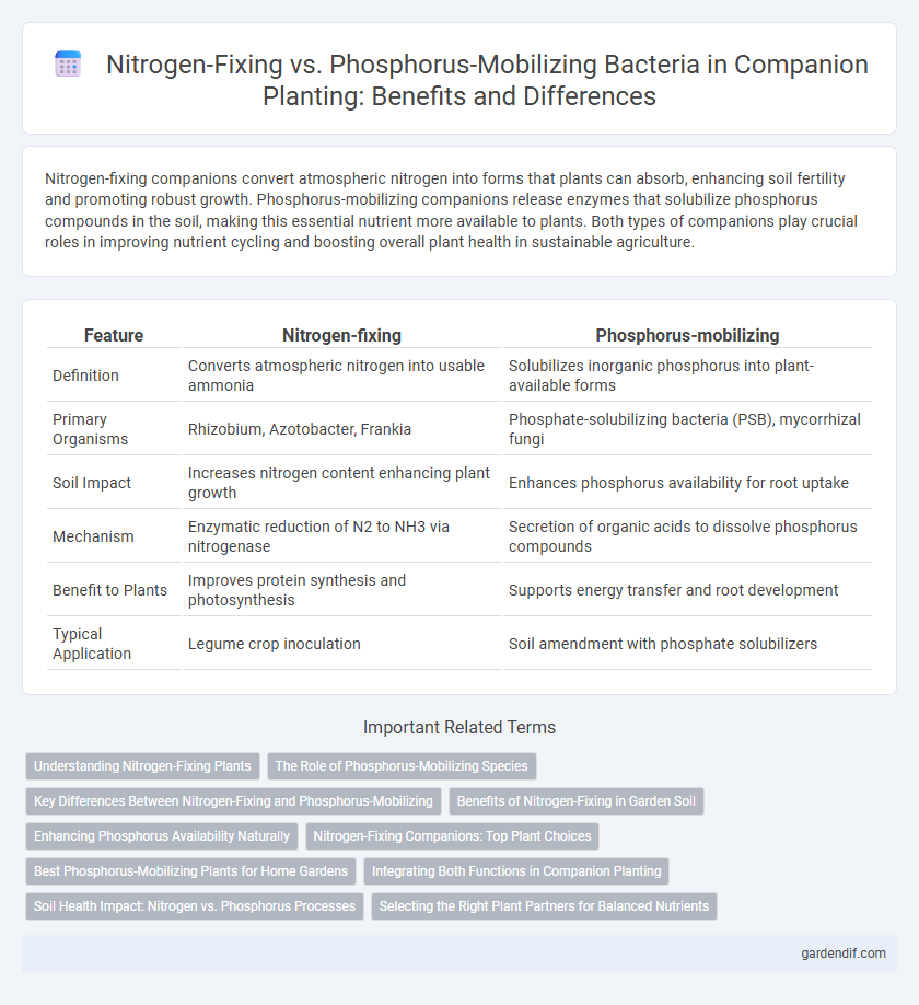 Nitrogen-Fixing vs. Phosphorus-Mobilizing Bacteria in Companion Planting: Benefits and Differences