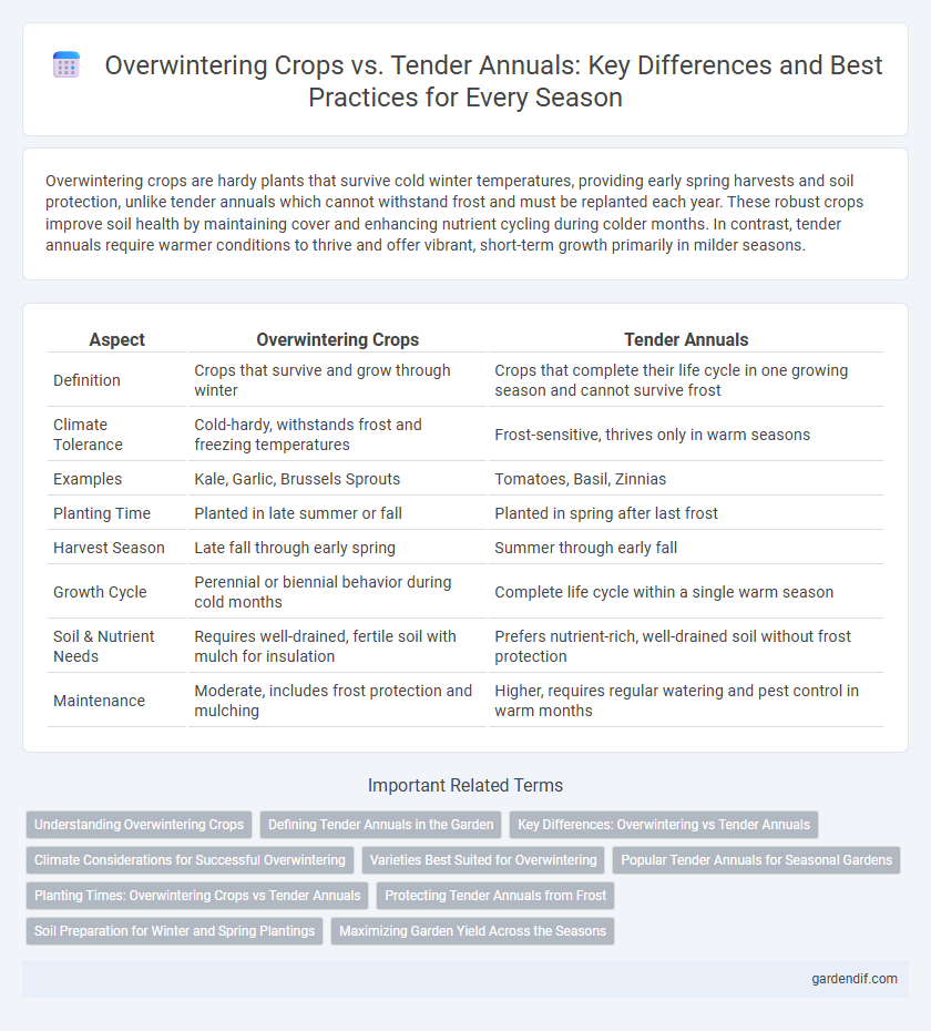 Overwintering Crops vs. Tender Annuals: Key Differences and Best Practices for Every Season
