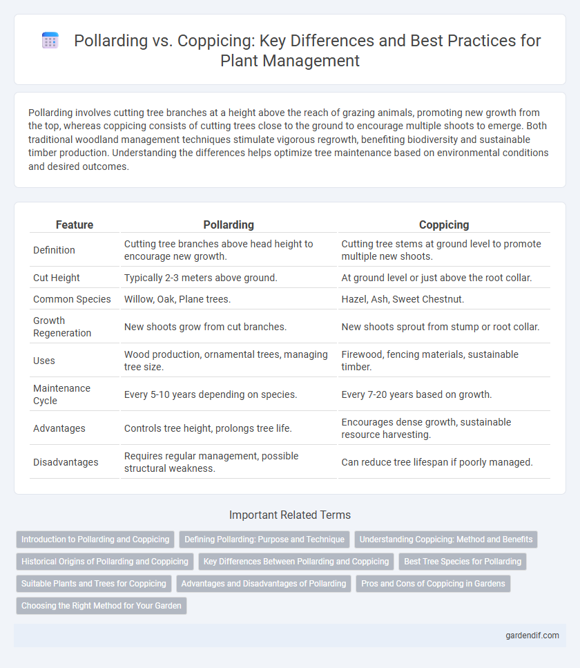 Pollarding vs. Coppicing: Key Differences and Best Practices for Plant Management