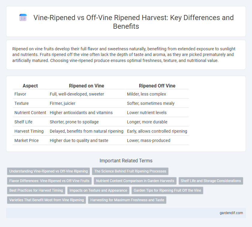 Vine-Ripened vs Off-Vine Ripened Harvest: Key Differences and Benefits