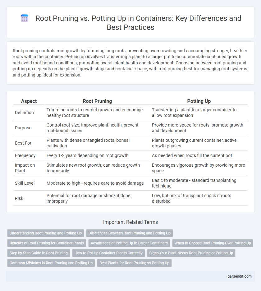 Root Pruning vs. Potting Up in Containers: Key Differences and Best Practices