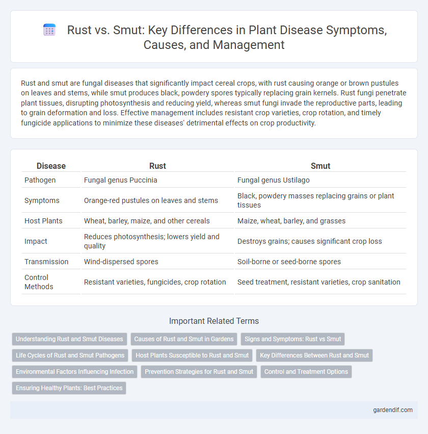 Rust vs. Smut: Key Differences in Plant Disease Symptoms, Causes, and Management