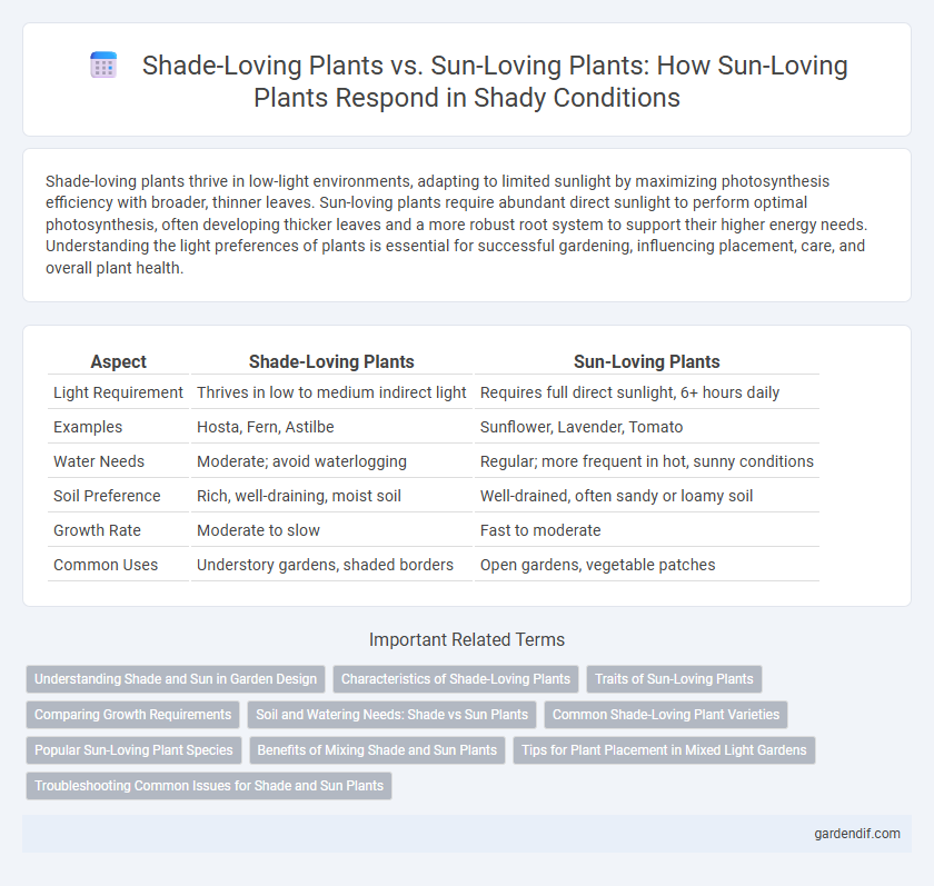 Shade-Loving Plants vs. Sun-Loving Plants: How Sun-Loving Plants Respond in Shady Conditions