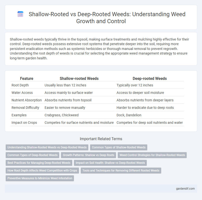 Shallow-Rooted vs Deep-Rooted Weeds: Understanding Weed Growth and Control