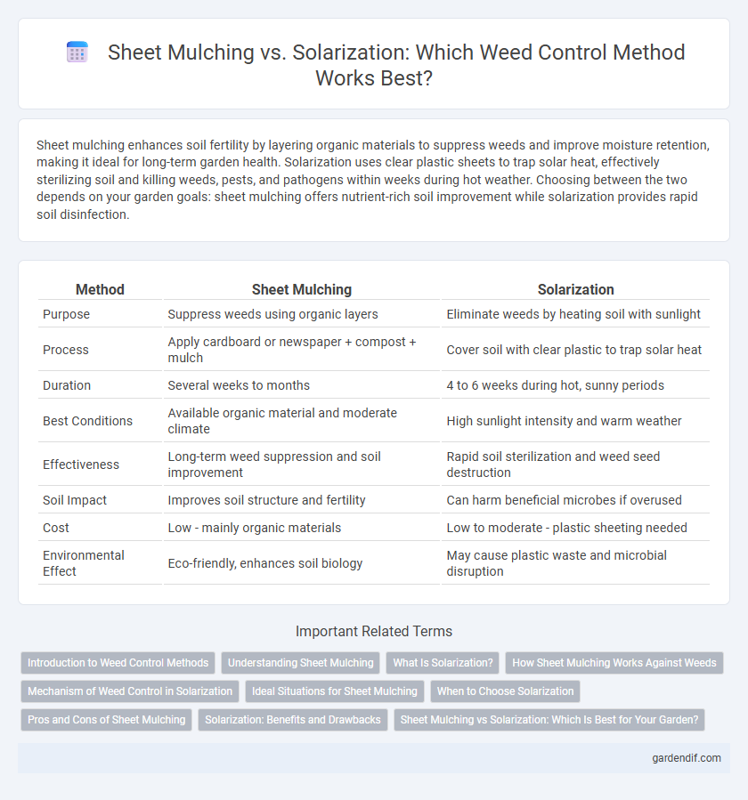 Sheet Mulching vs. Solarization: Which Weed Control Method Works Best?