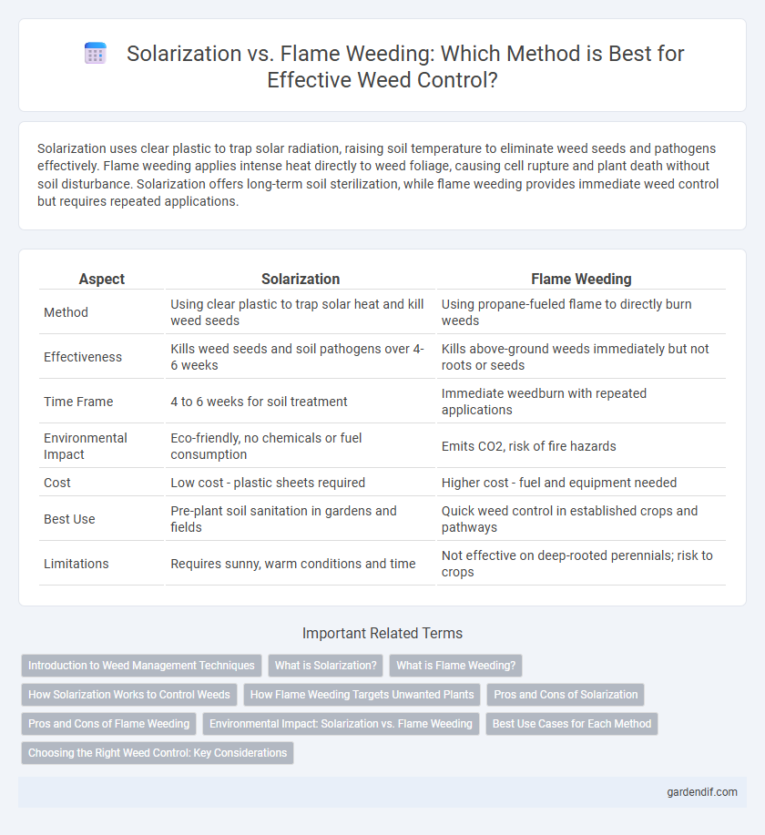 Solarization vs. Flame Weeding: Which Method is Best for Effective Weed Control?