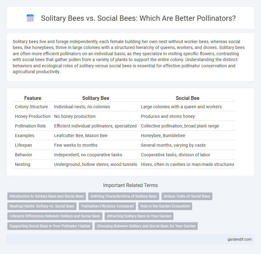Solitary Bees vs. Social Bees: Which Are Better Pollinators?