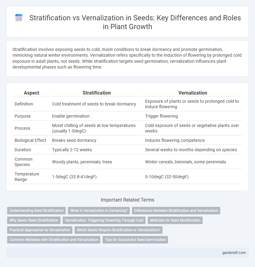 Stratification vs Vernalization in Seeds: Key Differences and Roles in Plant Growth