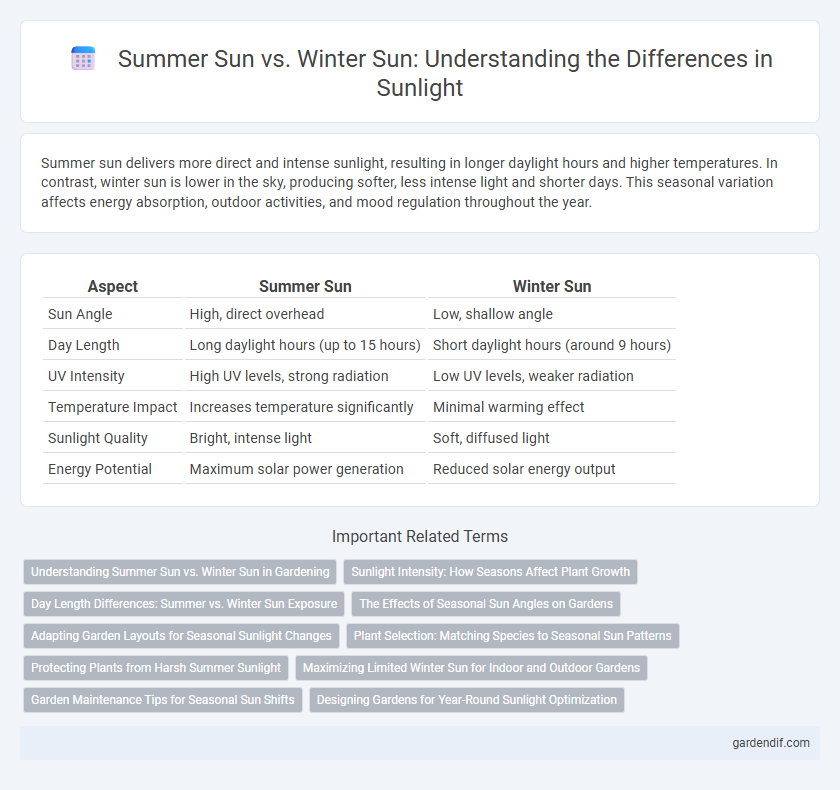 Summer Sun vs. Winter Sun: Understanding the Differences in Sunlight