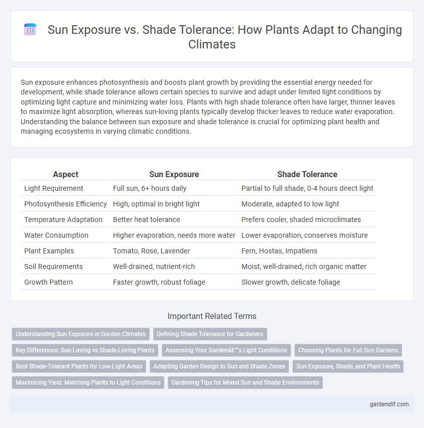 Sun Exposure vs. Shade Tolerance: How Plants Adapt to Changing Climates