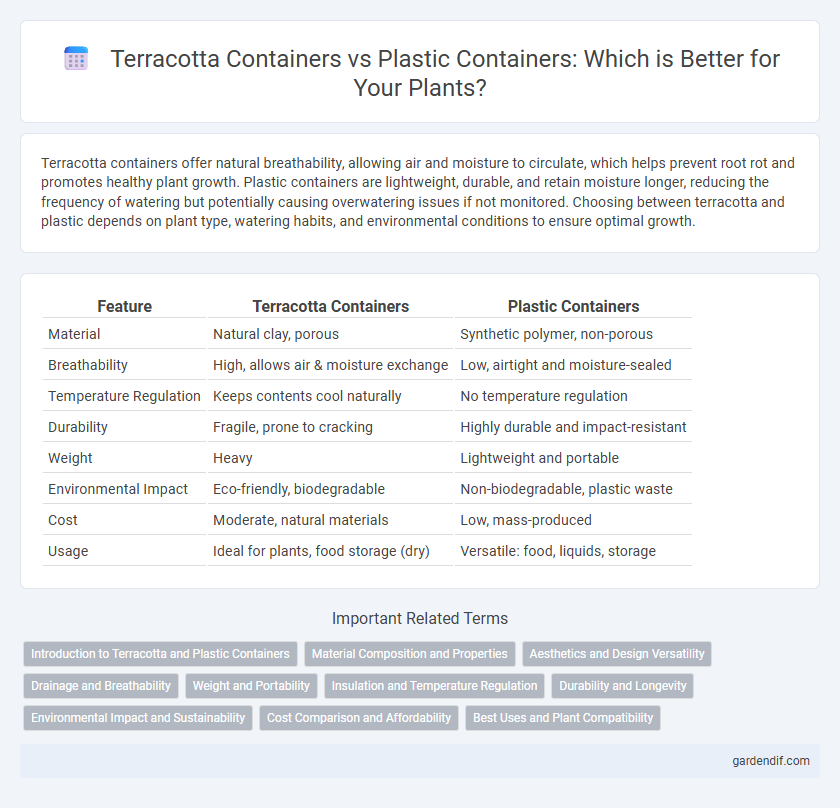 Terracotta Containers vs Plastic Containers: Which is Better for Your Plants?