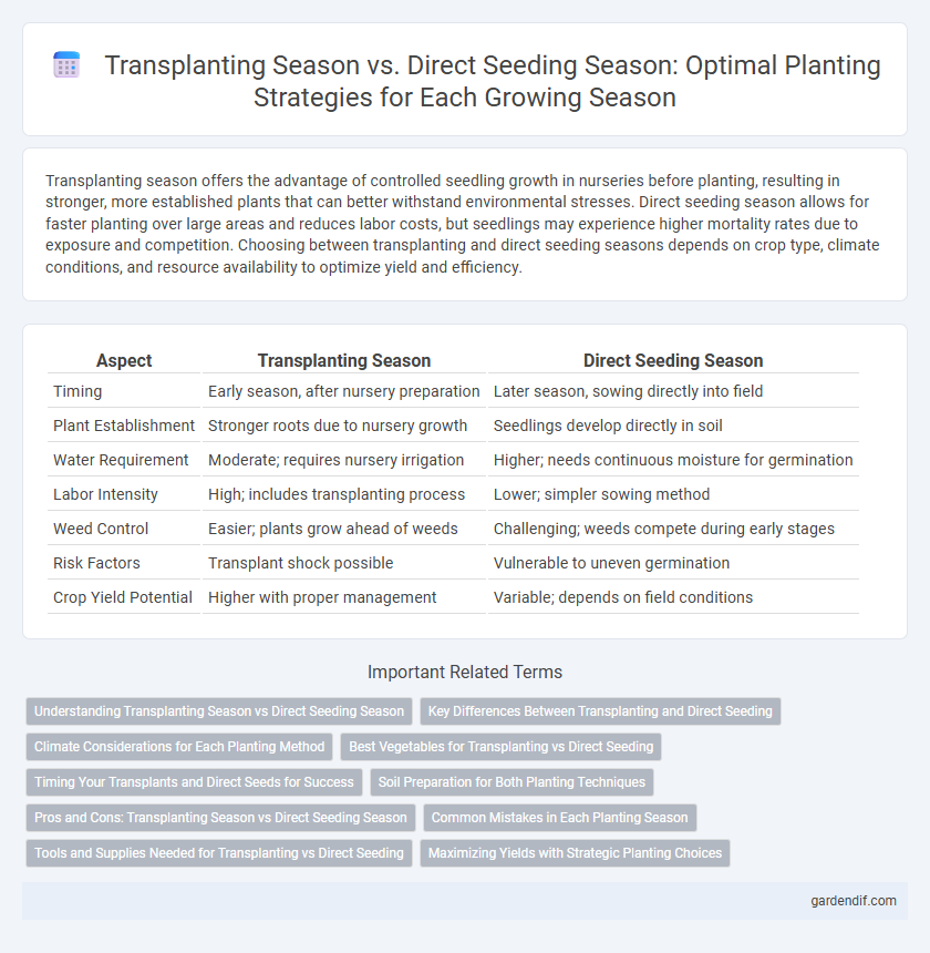Transplanting Season vs. Direct Seeding Season: Optimal Planting Strategies for Each Growing Season