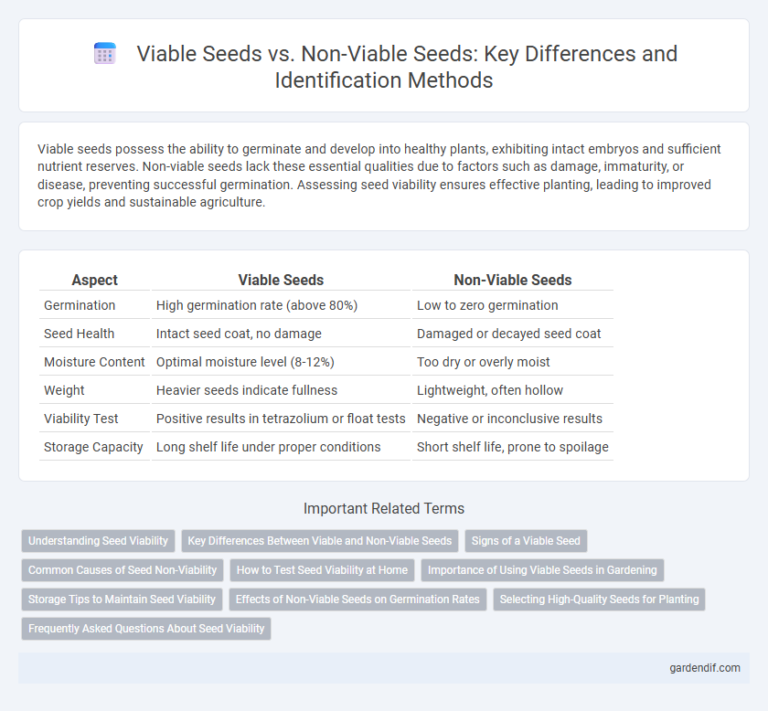 Viable Seeds vs. Non-Viable Seeds: Key Differences and Identification Methods
