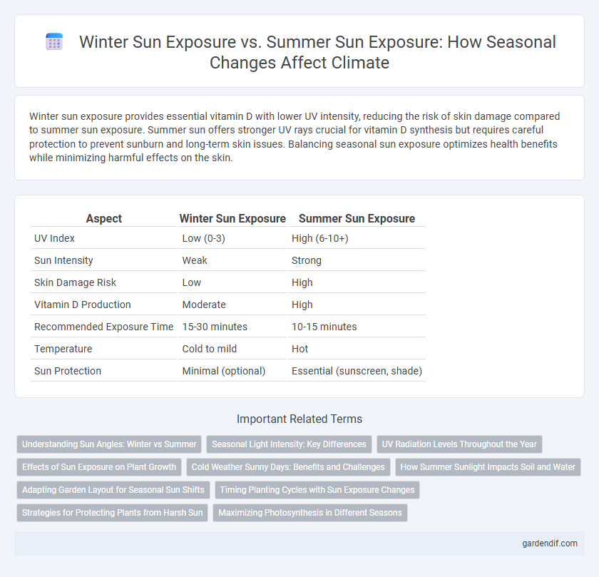 Winter Sun Exposure vs. Summer Sun Exposure: How Seasonal Changes Affect Climate