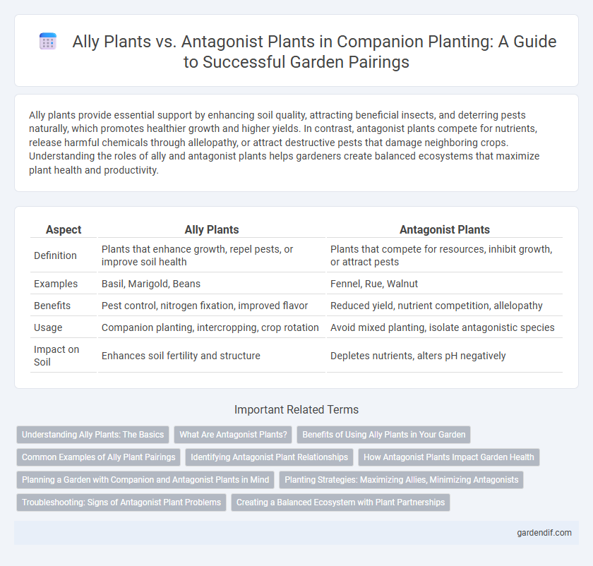 Ally Plants vs. Antagonist Plants in Companion Planting: A Guide to Successful Garden Pairings