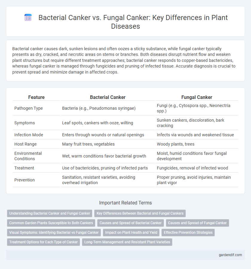 Bacterial Canker vs. Fungal Canker: Key Differences in Plant Diseases