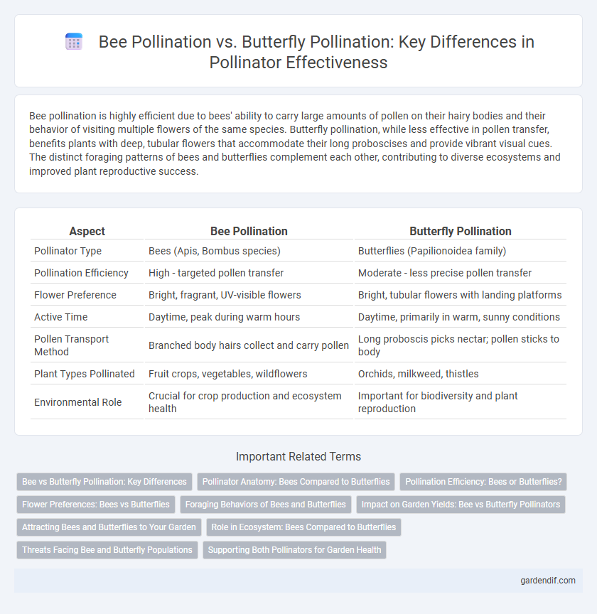 Bee Pollination vs. Butterfly Pollination: Key Differences in Pollinator Effectiveness