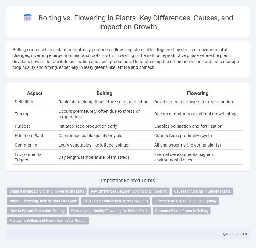 Bolting vs. Flowering in Plants: Key Differences, Causes, and Impact on Growth