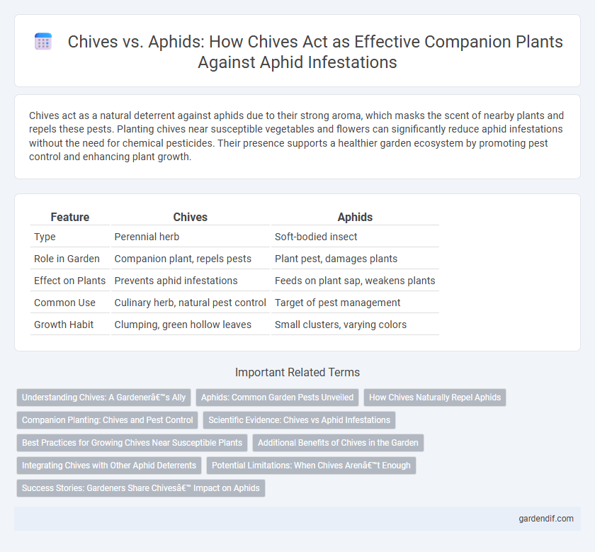 Chives vs. Aphids: How Chives Act as Effective Companion Plants Against Aphid Infestations