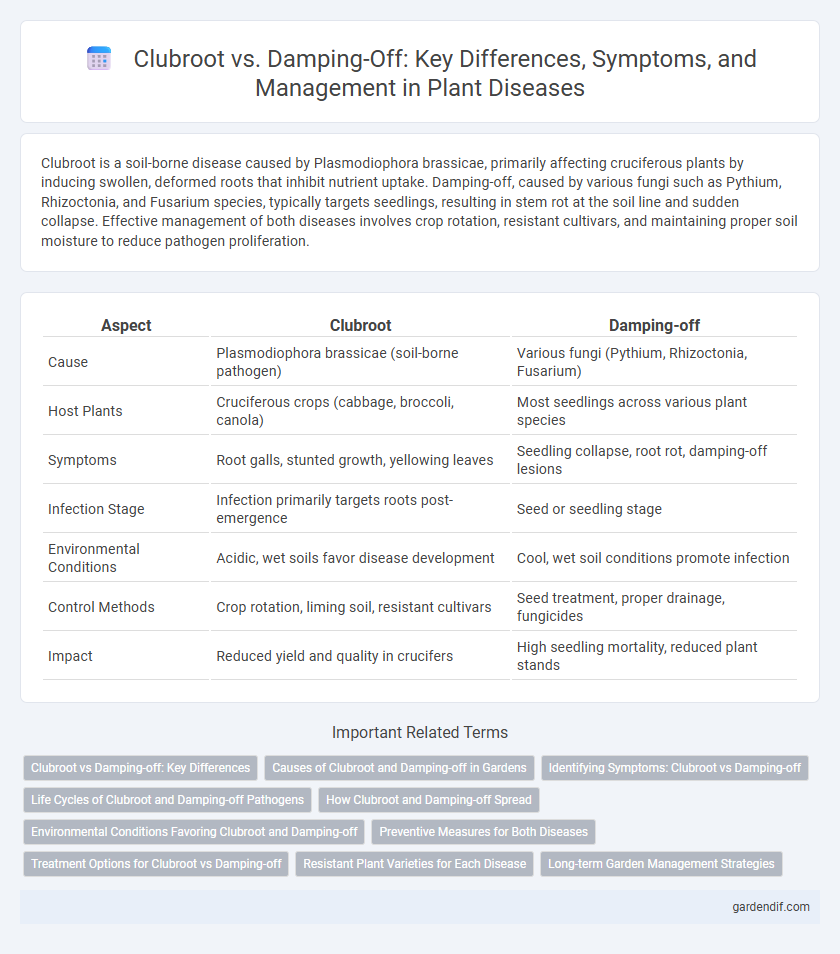 Clubroot vs. Damping-Off: Key Differences, Symptoms, and Management in Plant Diseases