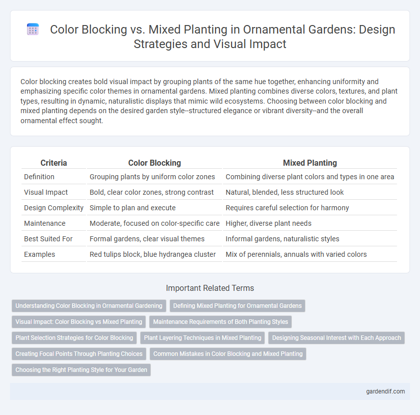 Color Blocking vs. Mixed Planting in Ornamental Gardens: Design Strategies and Visual Impact