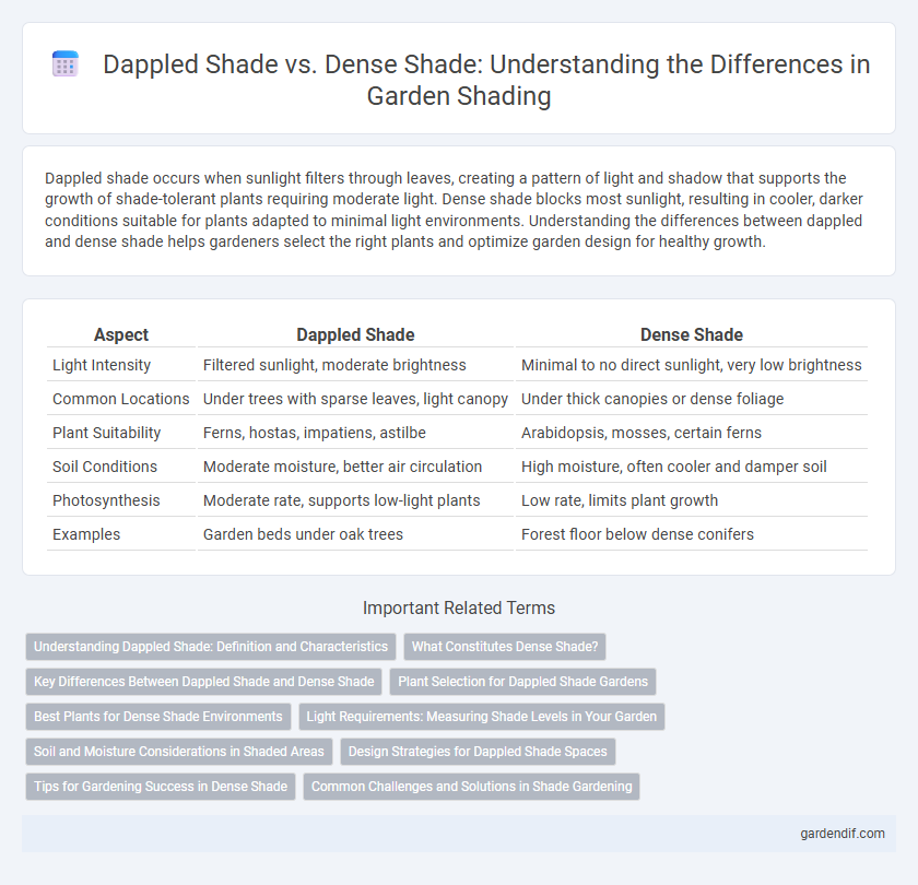 Dappled Shade vs. Dense Shade: Understanding the Differences in Garden Shading