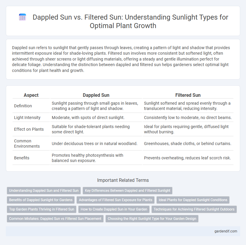 Dappled Sun vs. Filtered Sun: Understanding Sunlight Types for Optimal Plant Growth