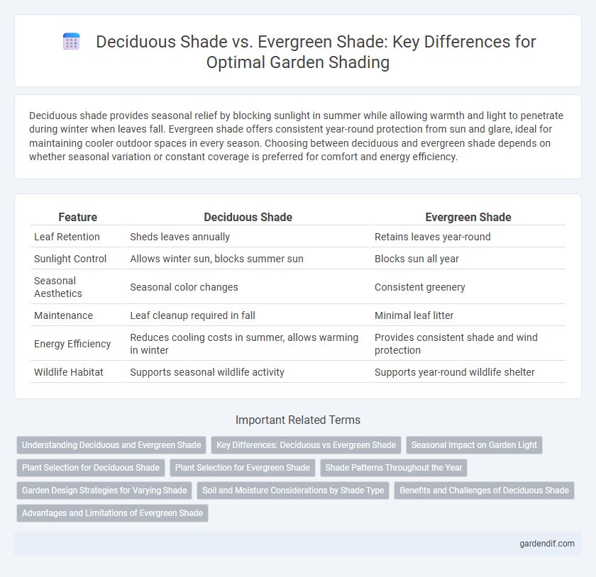 Deciduous Shade vs. Evergreen Shade: Key Differences for Optimal Garden Shading