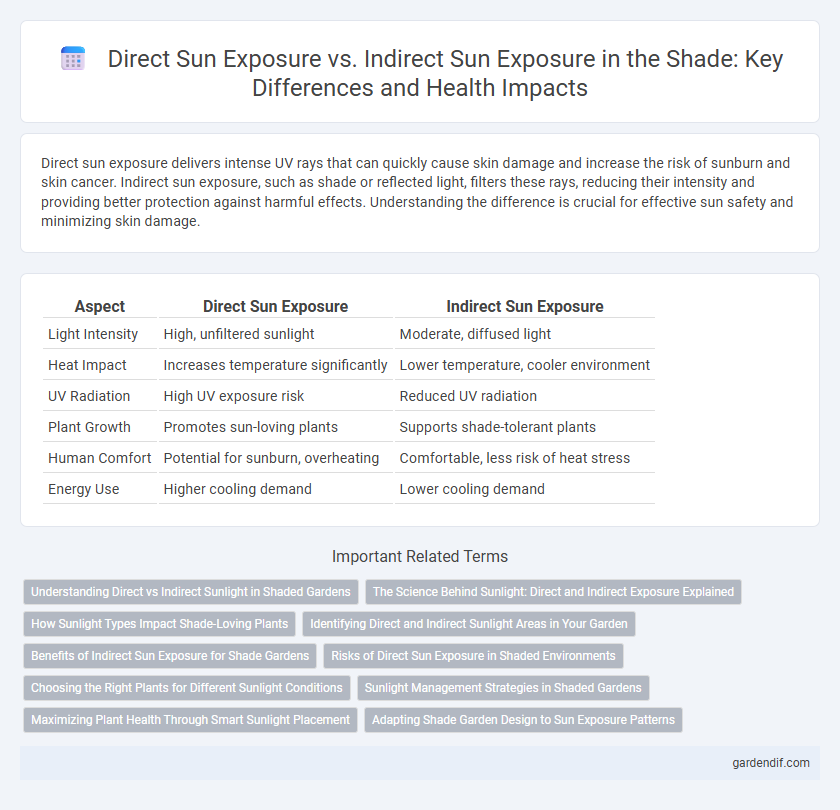Direct Sun Exposure vs. Indirect Sun Exposure in the Shade: Key Differences and Health Impacts