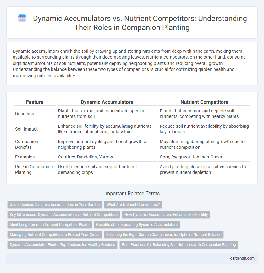 Dynamic Accumulators vs. Nutrient Competitors: Understanding Their Roles in Companion Planting
