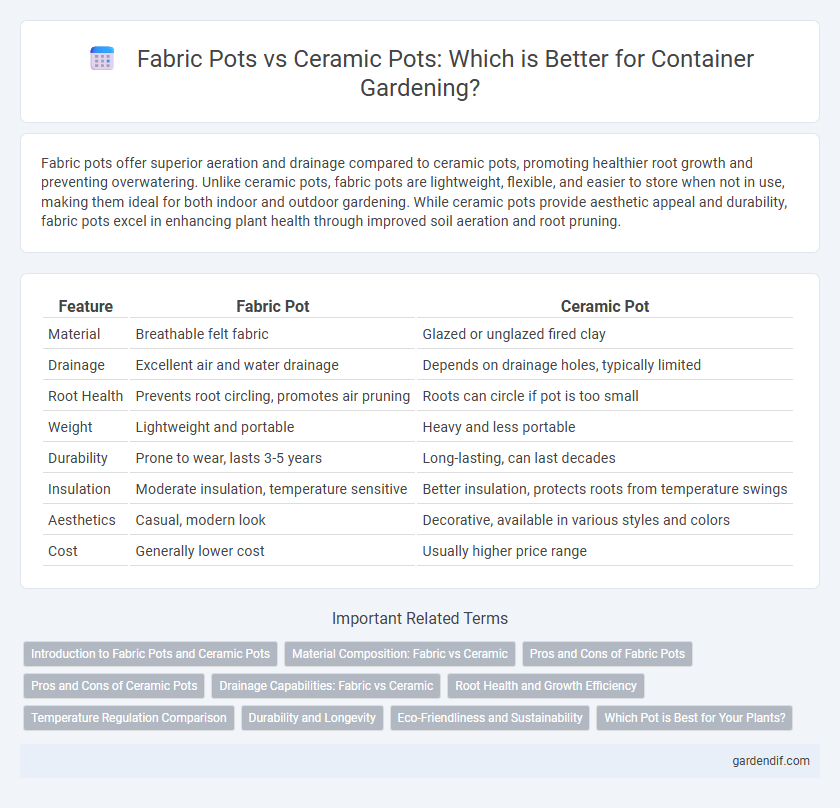 Fabric Pots vs Ceramic Pots: Which is Better for Container Gardening?