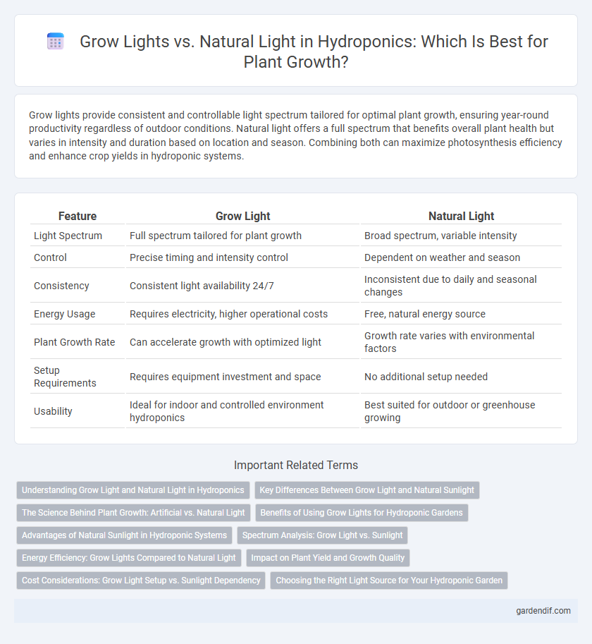 Grow Lights vs. Natural Light in Hydroponics: Which Is Best for Plant Growth?