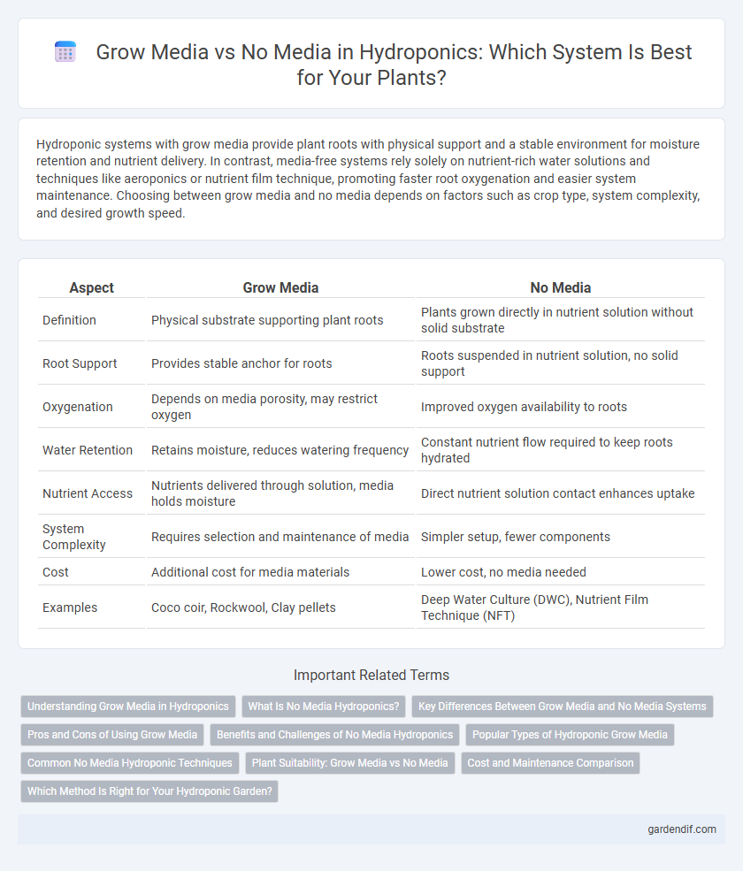 Grow Media vs No Media in Hydroponics: Which System Is Best for Your Plants?