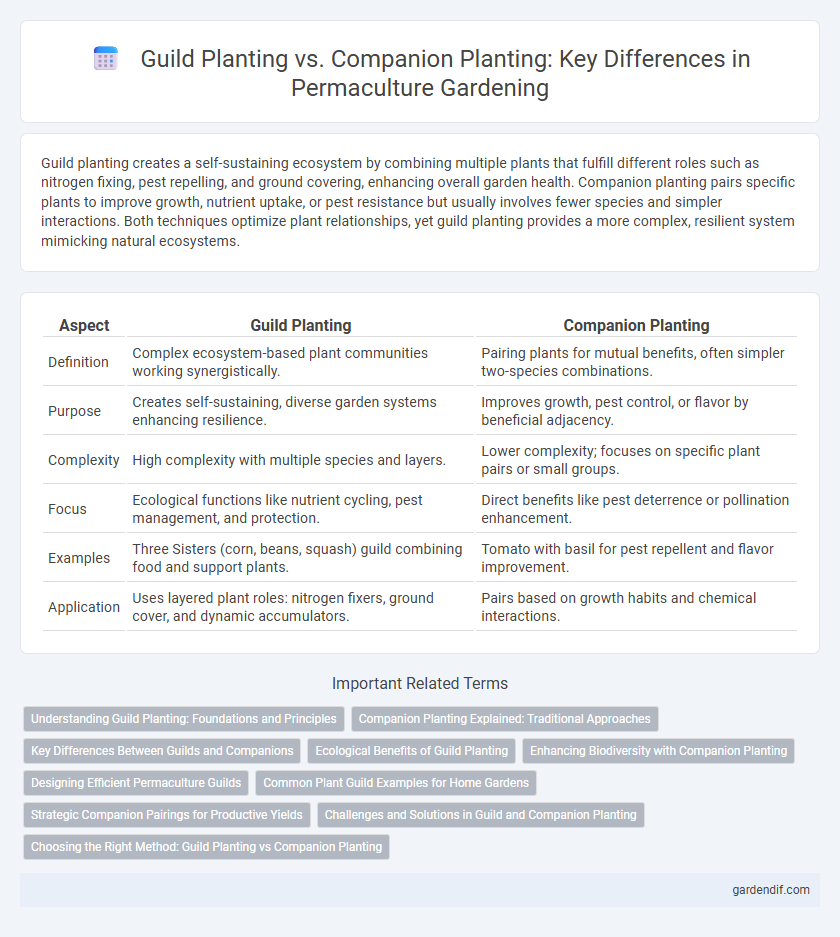 Guild Planting vs. Companion Planting: Key Differences in Permaculture Gardening