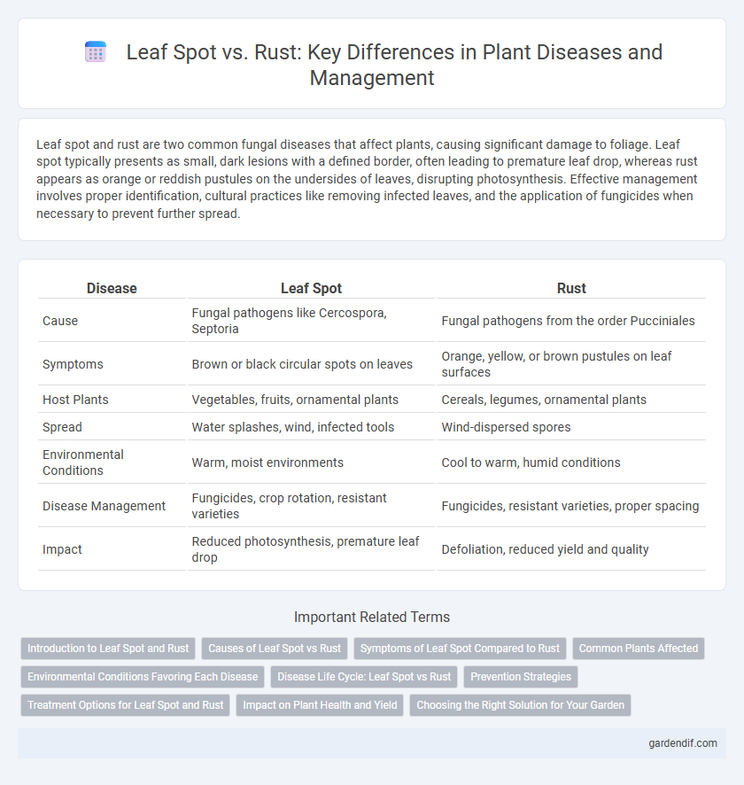 Leaf Spot vs. Rust: Key Differences in Plant Diseases and Management