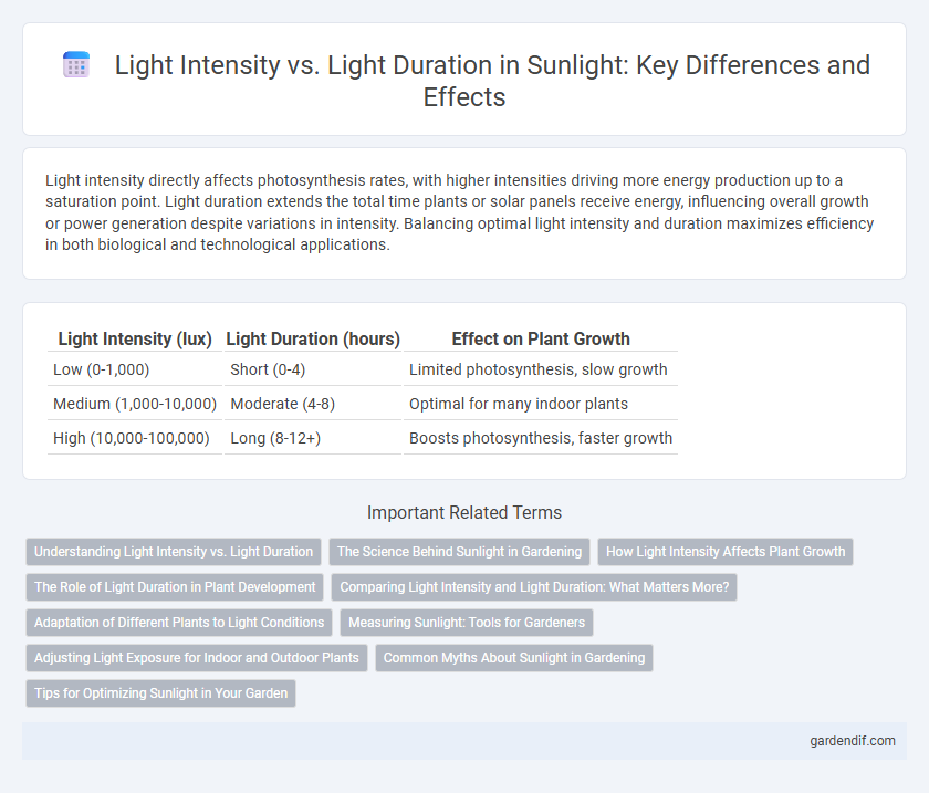 Light Intensity vs. Light Duration in Sunlight: Key Differences and Effects