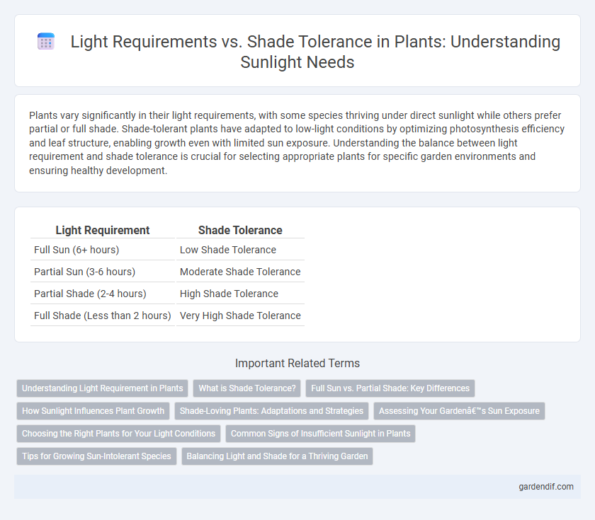 Light Requirements vs. Shade Tolerance in Plants: Understanding Sunlight Needs