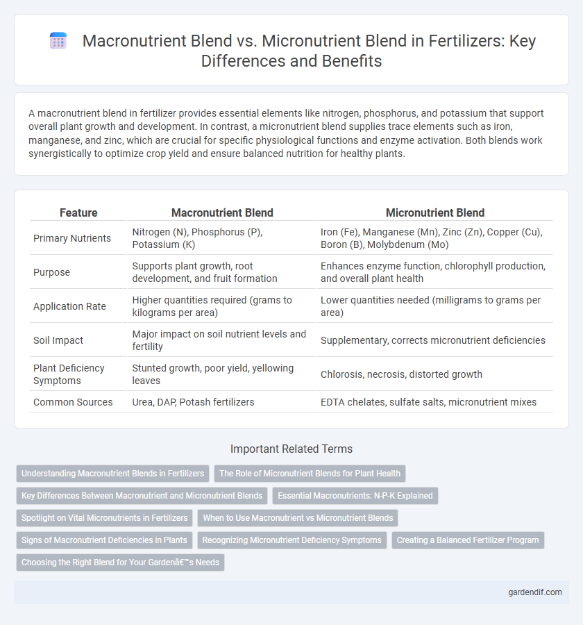 Macronutrient Blend vs. Micronutrient Blend in Fertilizers: Key Differences and Benefits