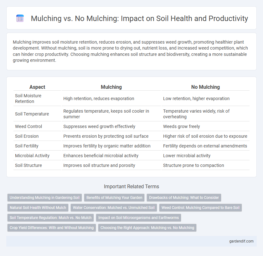 Mulching vs. No Mulching: Impact on Soil Health and Productivity