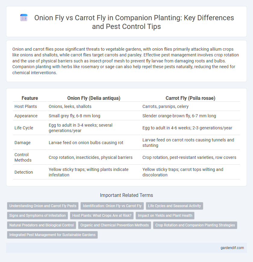 Onion Fly vs Carrot Fly in Companion Planting: Key Differences and Pest Control Tips
