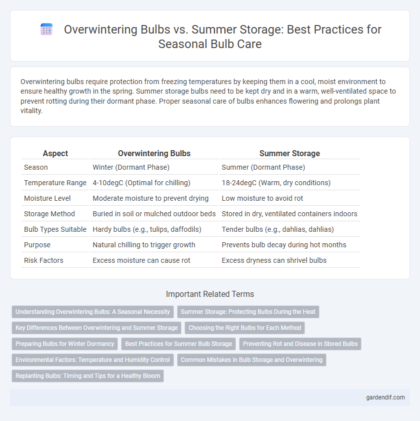 Overwintering Bulbs vs. Summer Storage: Best Practices for Seasonal Bulb Care