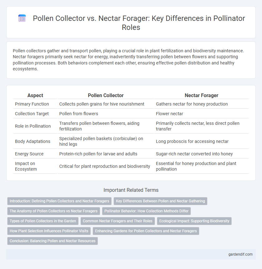 Pollen Collector vs. Nectar Forager: Key Differences in Pollinator Roles