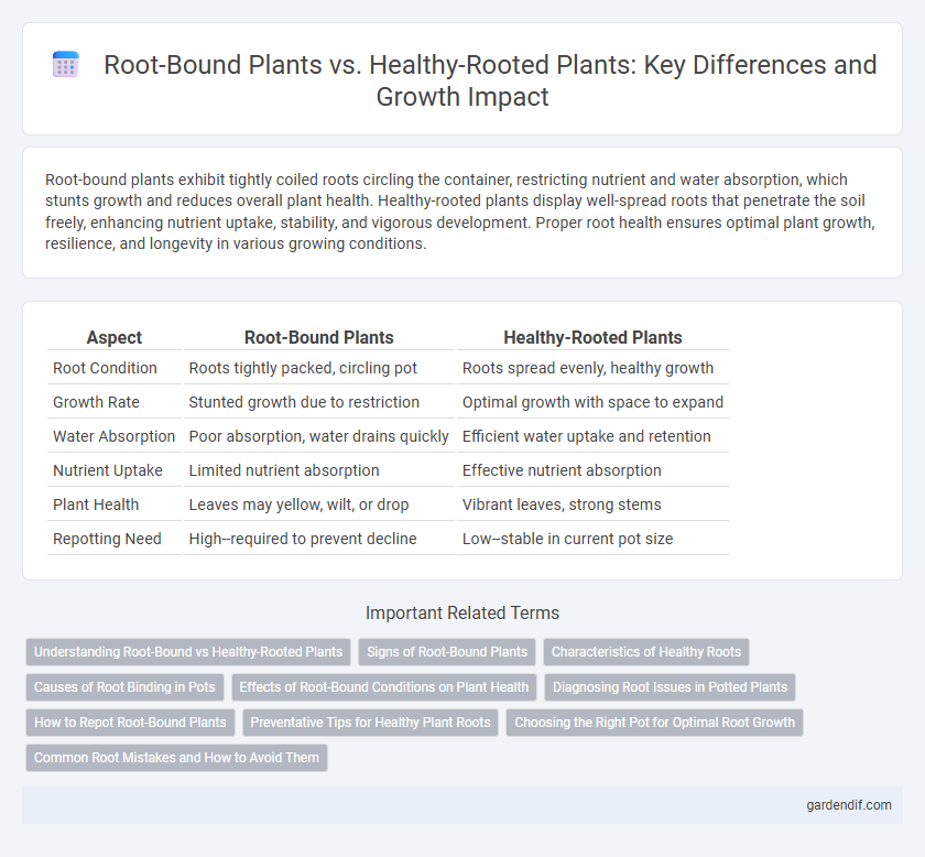 Root-Bound Plants vs. Healthy-Rooted Plants: Key Differences and Growth Impact