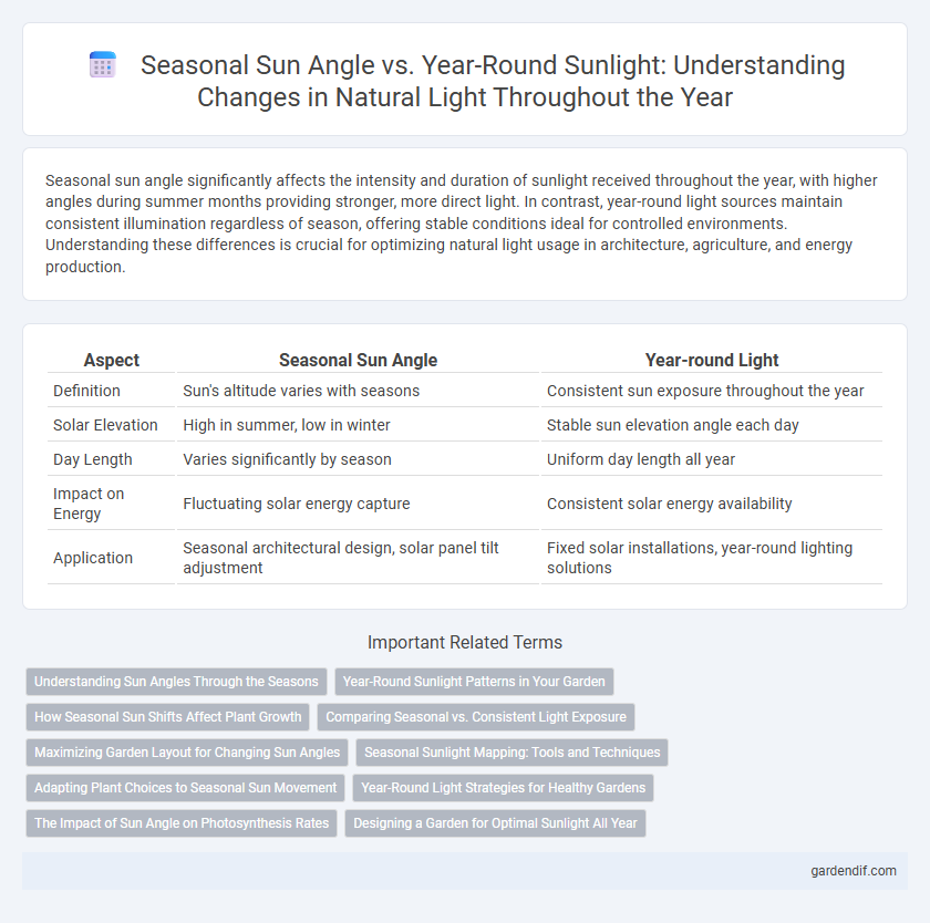 Seasonal Sun Angle vs. Year-Round Sunlight: Understanding Changes in Natural Light Throughout the Year