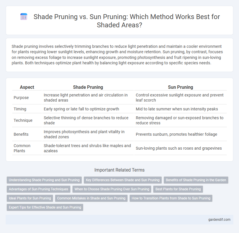 Shade Pruning vs. Sun Pruning: Which Method Works Best for Shaded Areas?
