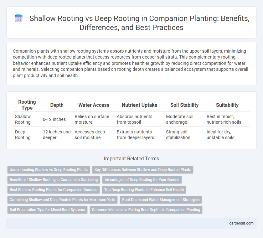 Shallow Rooting vs Deep Rooting in Companion Planting: Benefits, Differences, and Best Practices